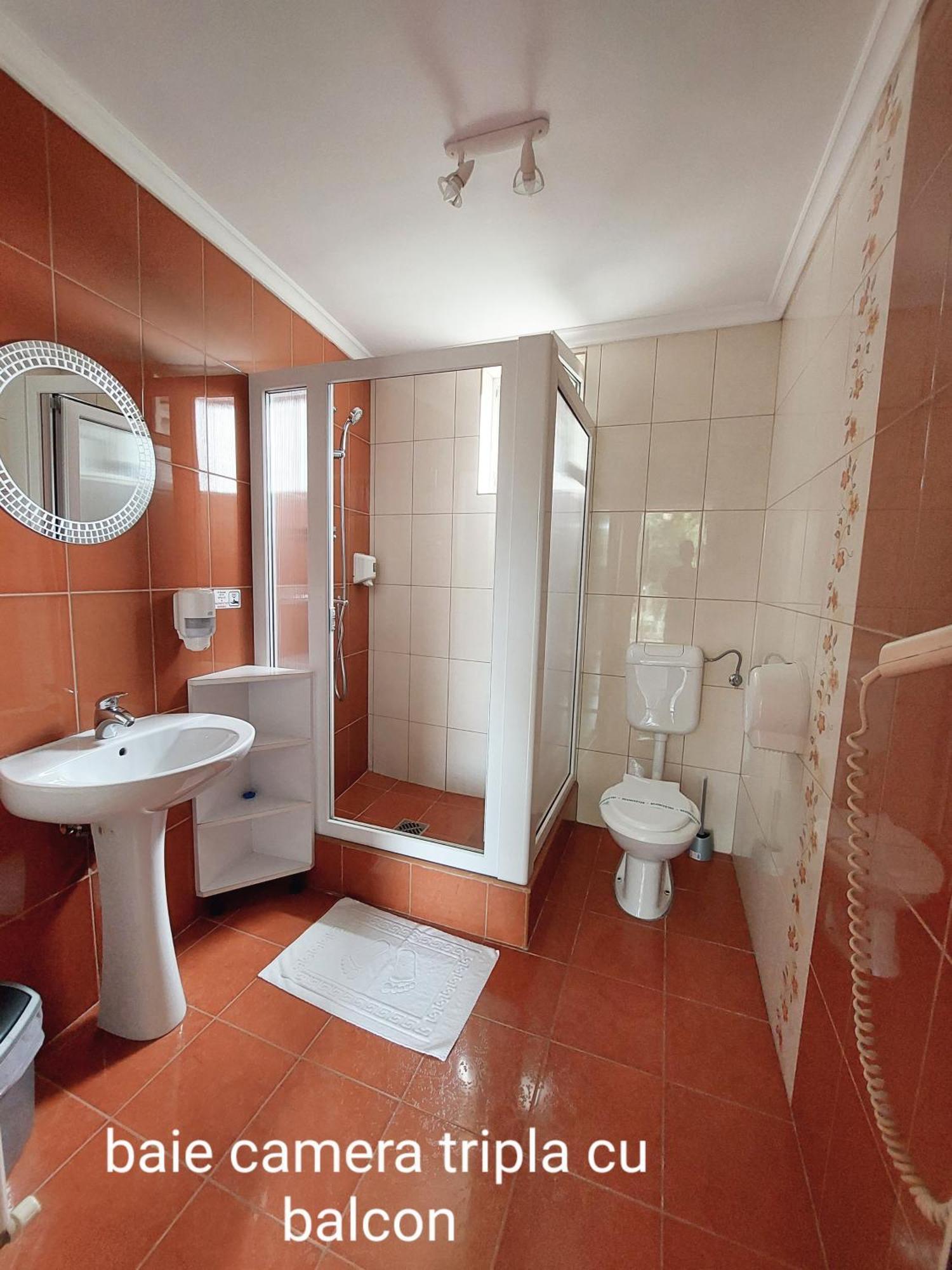 Pensiunea Veronica Băile Felix Habitación foto